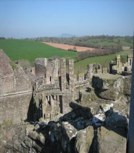 View from the towers