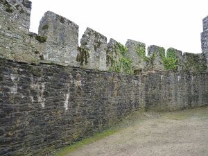 The outer wall
