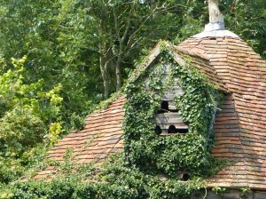 Summer house close -up
