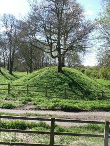 Associated earthworks