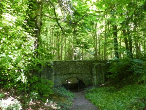 The dell gate
