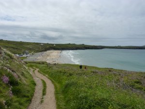 View of Whitesands Bay from the Pembrokeshire Coastal Path