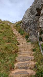 The steps leading to/from the chapel-we counted a different number on the way down to up!