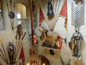 The stuffed lion apparently died of natural causes
