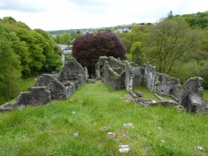 View of the bailey from the motte