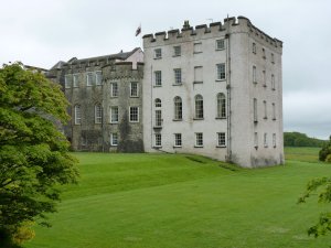 The Georgian extension
