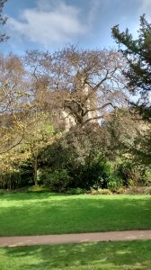 Garden views
