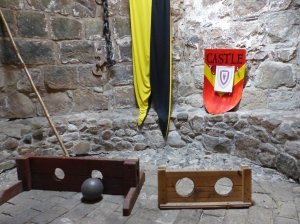 The castle dungeon
