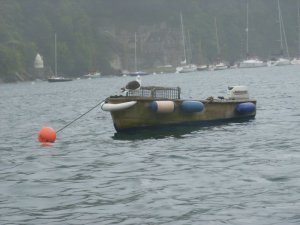 Captain Gull