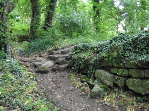 The wooded path leading to the castle
