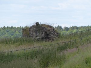 Scant remains of the castle