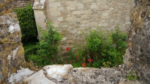 The chapel garden from the battlements above
