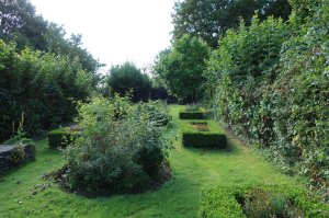 The community garden- a nice spot for a picnic