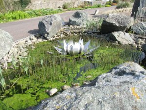 Water feature