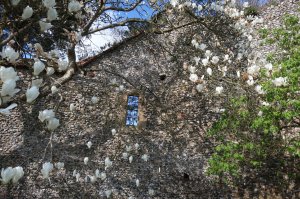 The ruined remains of the North East Tower