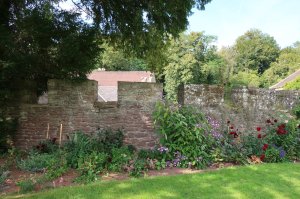 Garden wall