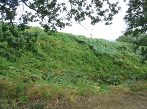 Ramparts 2