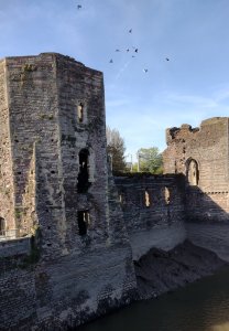 The south tower