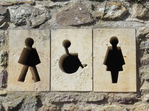 Even the toilets have stone carved signs!