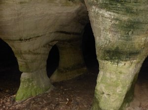 Views of the sandstone caves