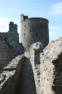 The south east tower