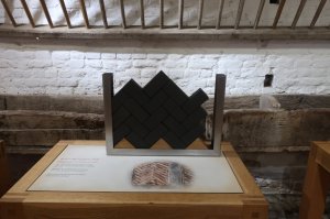 Children's activities in the barn