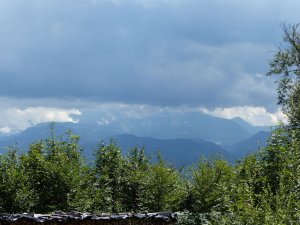 Views from the castle terrace