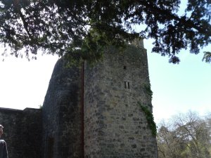 View of the tower at St. Fagans