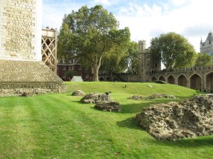 Remains of the inner wall