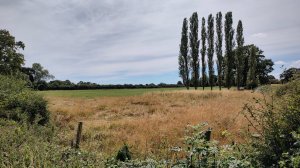 This peaceful field was once the site of the bloody Battle of Tewkesbury