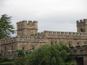 View from the garden