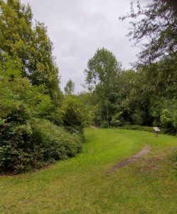 The remains of a defensive ditch: this would have circled the castle but only this part remains today