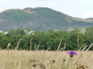 View across the surrounding fields