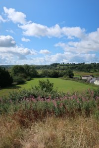 View of the bailey