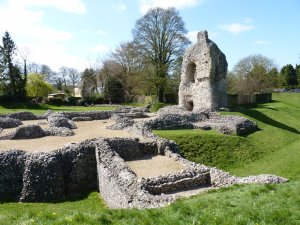 Remains of the tower and great hall