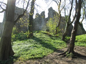 Woodland behind the castle