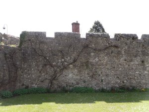 Wall 4