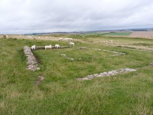 The ruins of the temple , with the resident sheep.