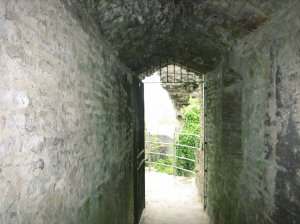 Tunnels!