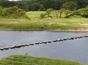 Stepping stones across the river