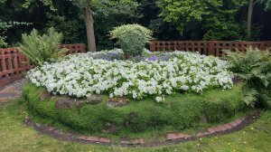 The garden at Greyfriars- thought to incorporate stone from the town wall