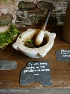 Herbs for the children to bash about!!!