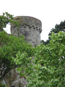 Tower view 2