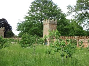 The orchard