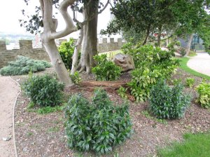 Newly planted gardens at the castle site
