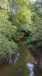 The river runing through the park