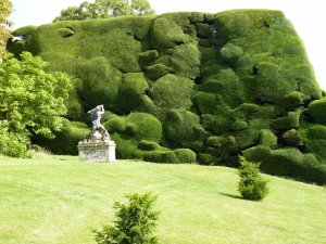 Wonderfully random blobs of hedge