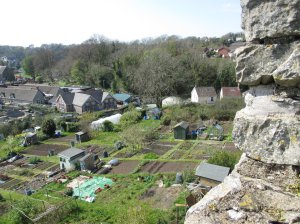 View over the allotments