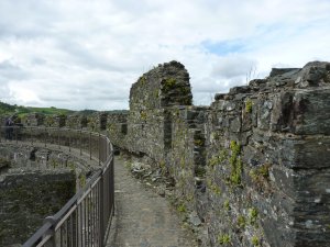 Up on the battlements