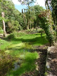 The remains of the moat